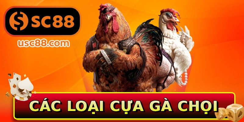 Các loại cựa gà chọi