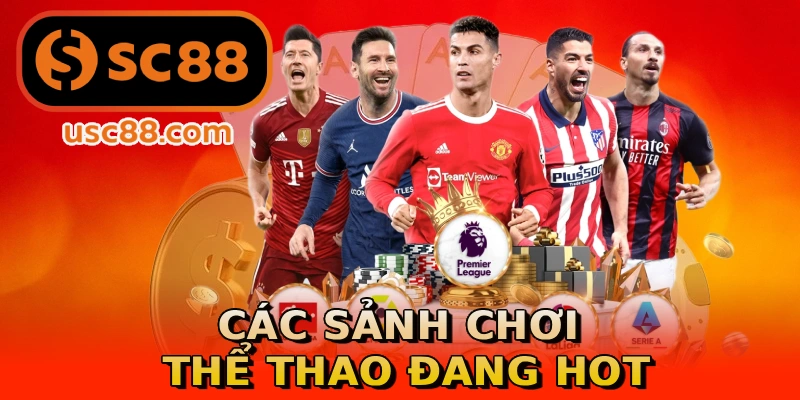 Các sảnh chơi thể thao đang hot