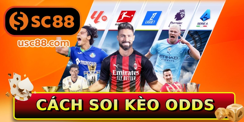 Cách soi kèo odds