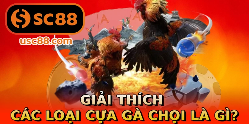 Giải thích các loại cựa gà chọi là gì?