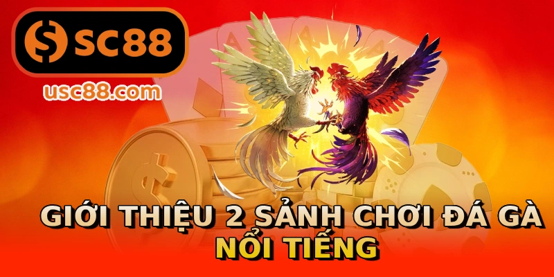 Giới thiệu 2 sảnh chơi đá gà nổi tiếng