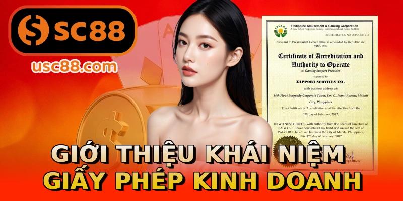 Giới thiệu khái niệm giấy phép kinh doanh