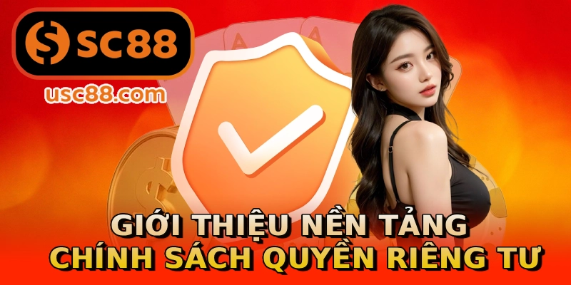 Giới thiệu nền tảng chính sách quyền riêng tư