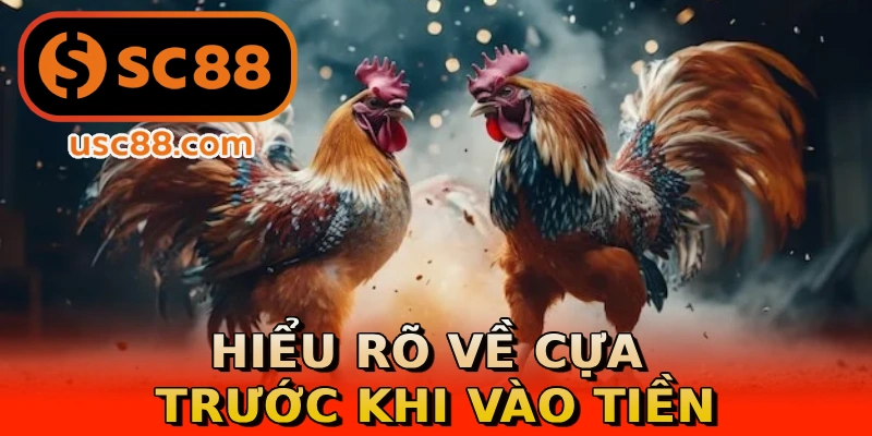 Hiểu rõ về cựa trước khi vào tiền