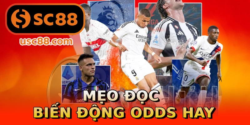 Mẹo đọc biến động odds hay