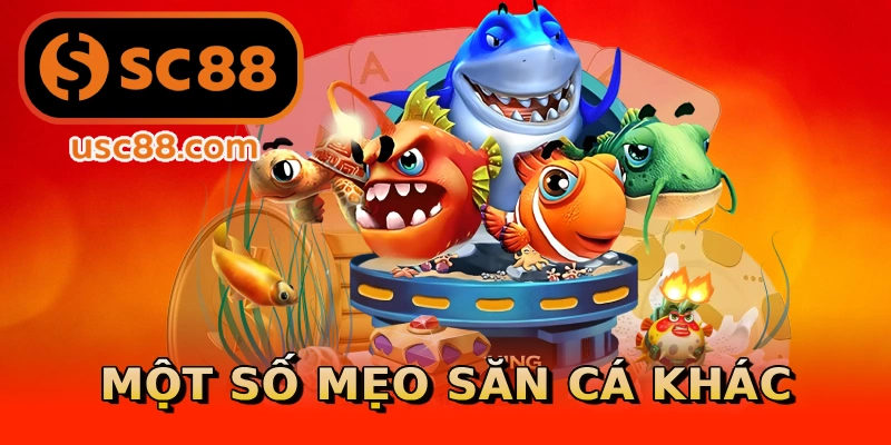 Một số mẹo săn cá khác