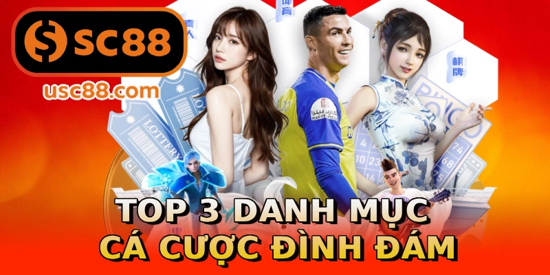 Top 3 danh mục cá cược đình đám
