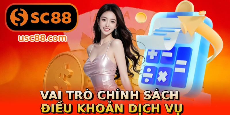 Vai trò chính sách điều khoản dịch vụ